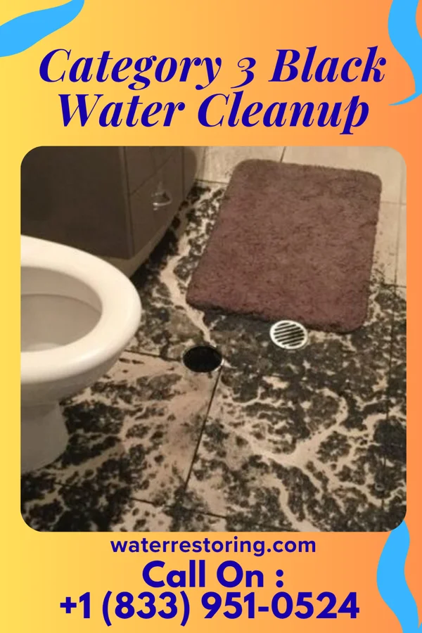 Category 3 Black Water Cleanup in Marlboro, OH