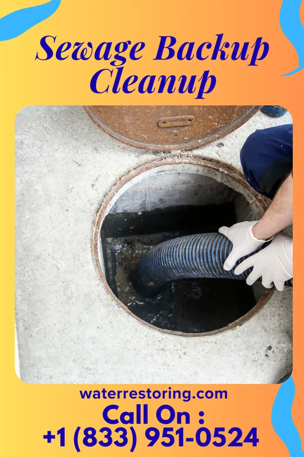 Sewage Backup Cleanup in Marlboro, OH